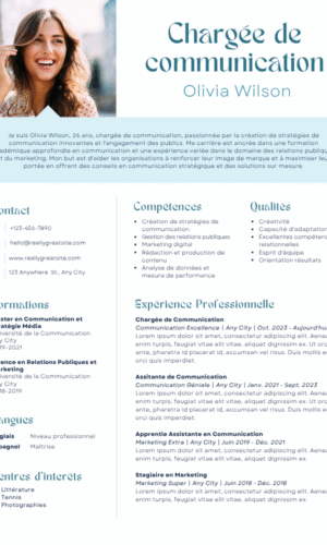 Business CV Resume
